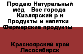 Продаю Натуральный мёд - Все города, Кизлярский р-н Продукты и напитки » Фермерские продукты   . Красноярский край,Лесосибирск г.